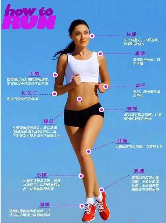 1544061209396649.jpg 17.jpg