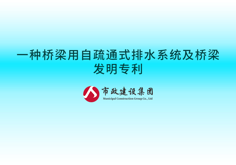 一種橋梁用自疏通式排水系統(tǒng)及橋梁發(fā)明專(zhuān)利.jpg