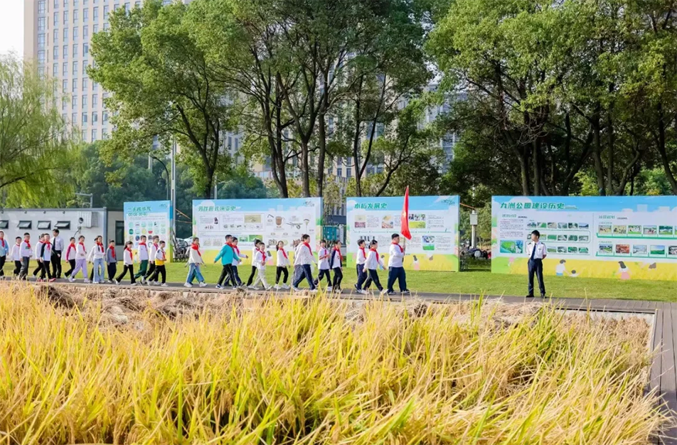 九洲公園舉辦“南昌城里有點(diǎn)田”秋收體驗活動 青少年體驗農(nóng)耕文化